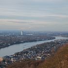 Blick über Bonn