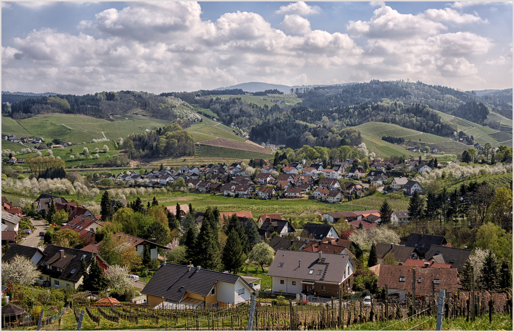 Blick über Bottenau.