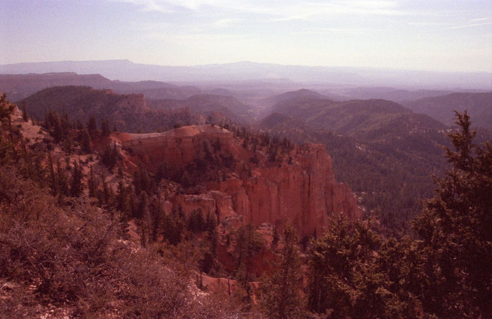 Blick über Bryce Canyon