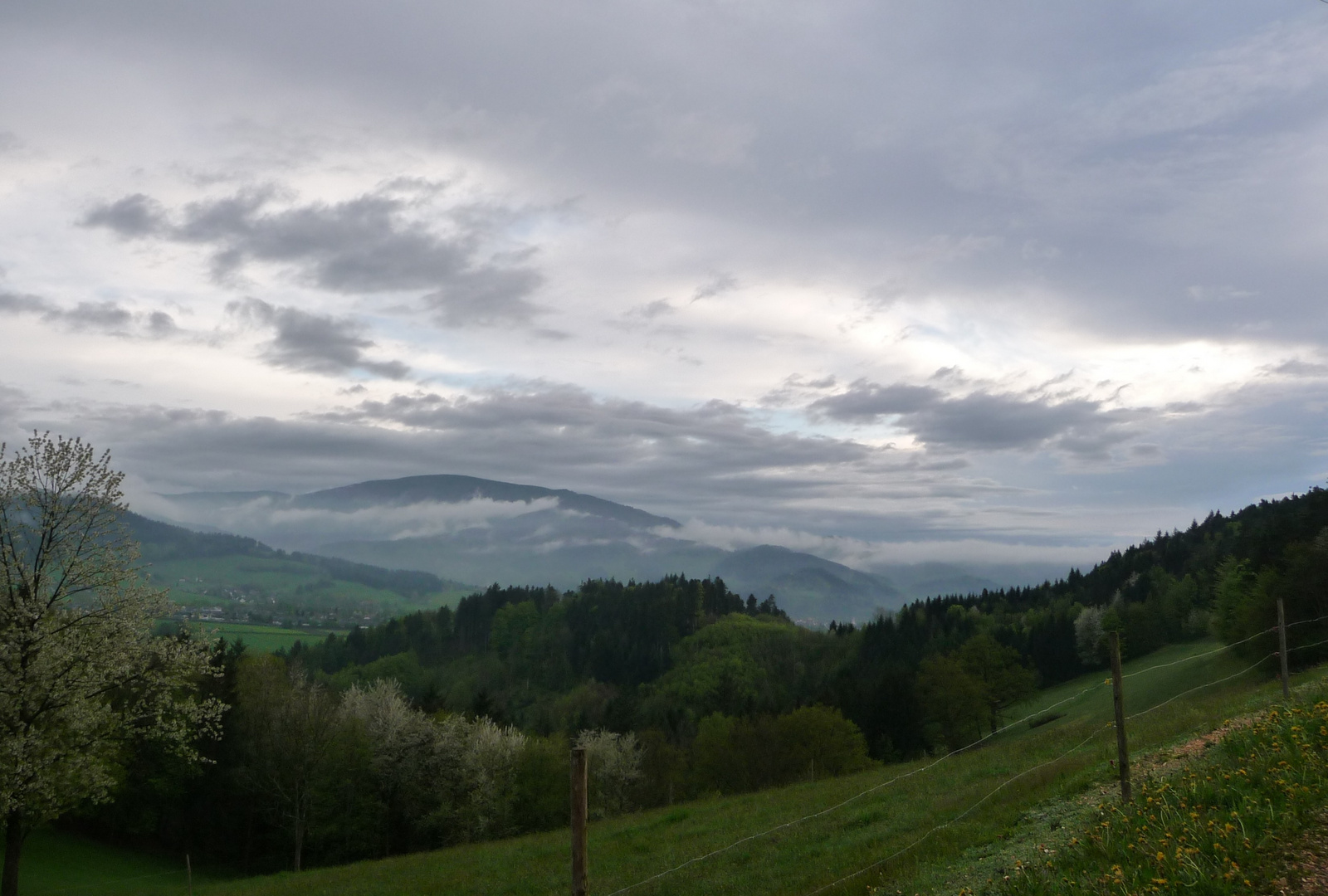 Blick über Buchenbach