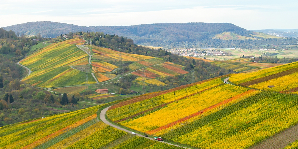 Blick über Burg zum Kappelberg