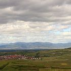 Blick über Burkheim in die Vogesen