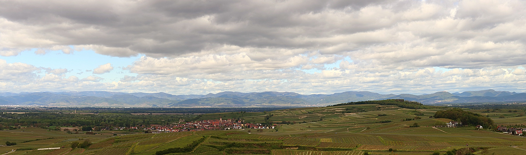 Blick über Burkheim in die Vogesen