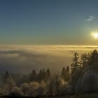 Blick über das Donautal von St. Englmar Panorama