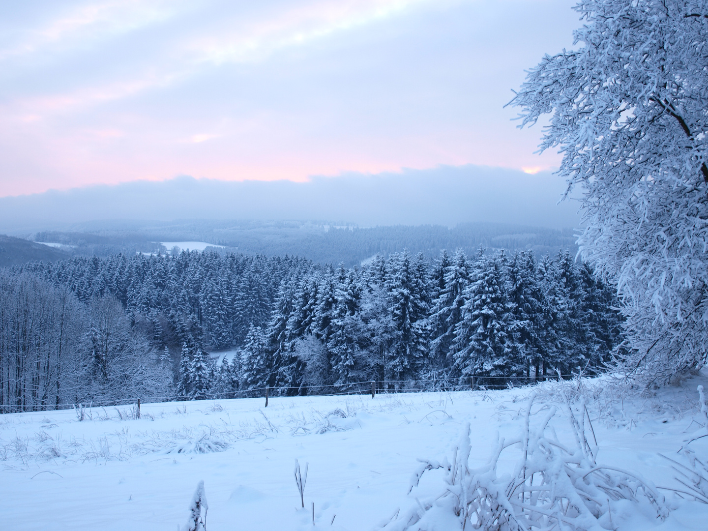 Blick über das Ebbegebirge