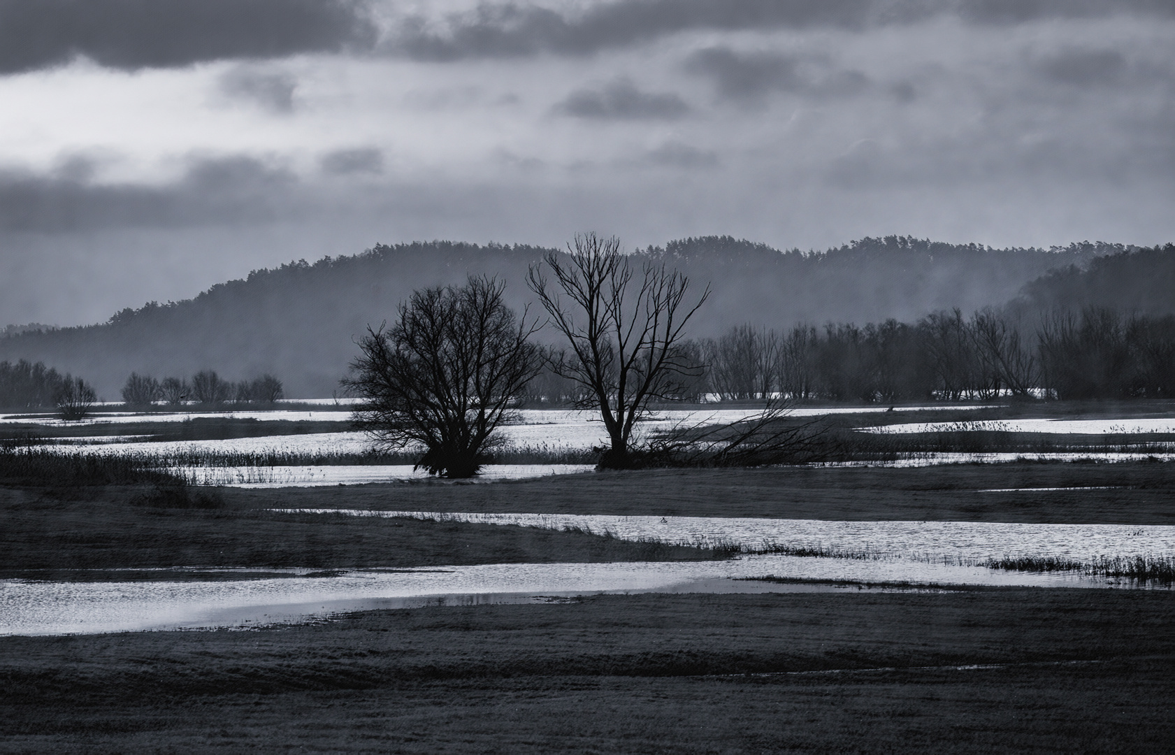 Blick über das Elbevorland