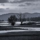 Blick über das Elbevorland