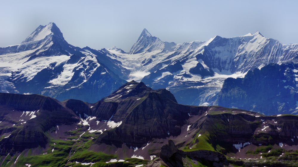 Blick über das Faulhorn zum Lauteraar-, Schreck-, Finsteraarhorn - Ochs - Fischerhörner