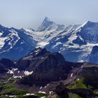 Blick über das Faulhorn zum Lauteraar-, Schreck-, Finsteraarhorn - Ochs - Fischerhörner