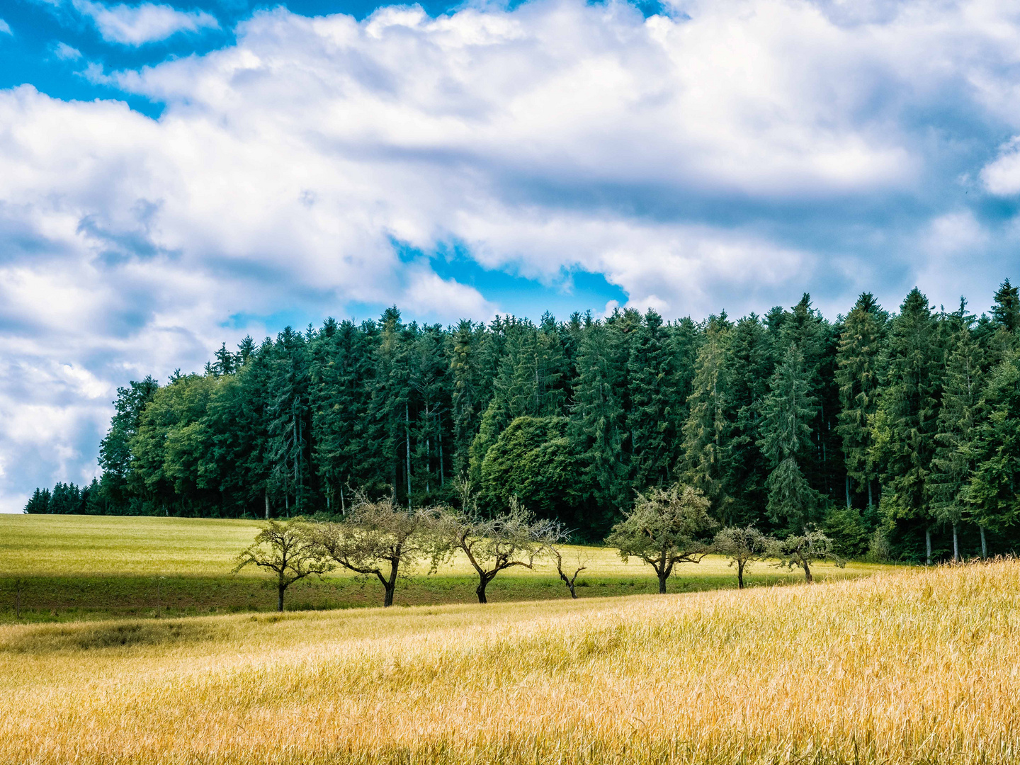 Blick über das Feld