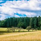 Blick über das Feld