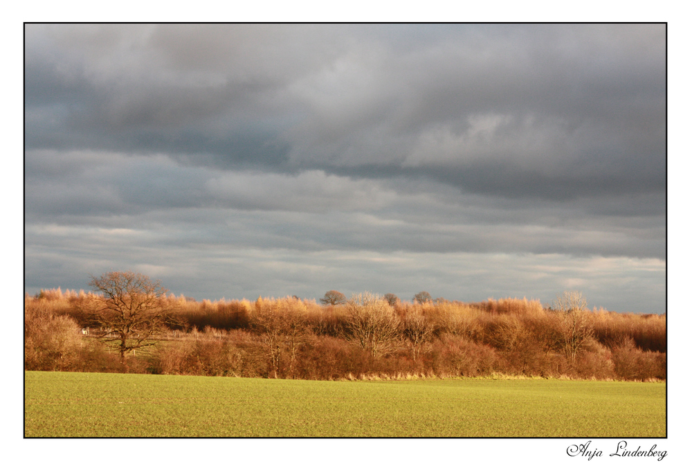 Blick über das Feld