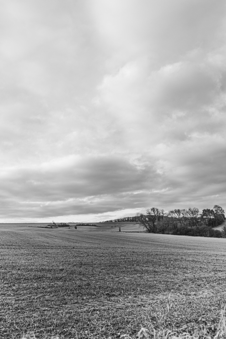 Blick über das Feld