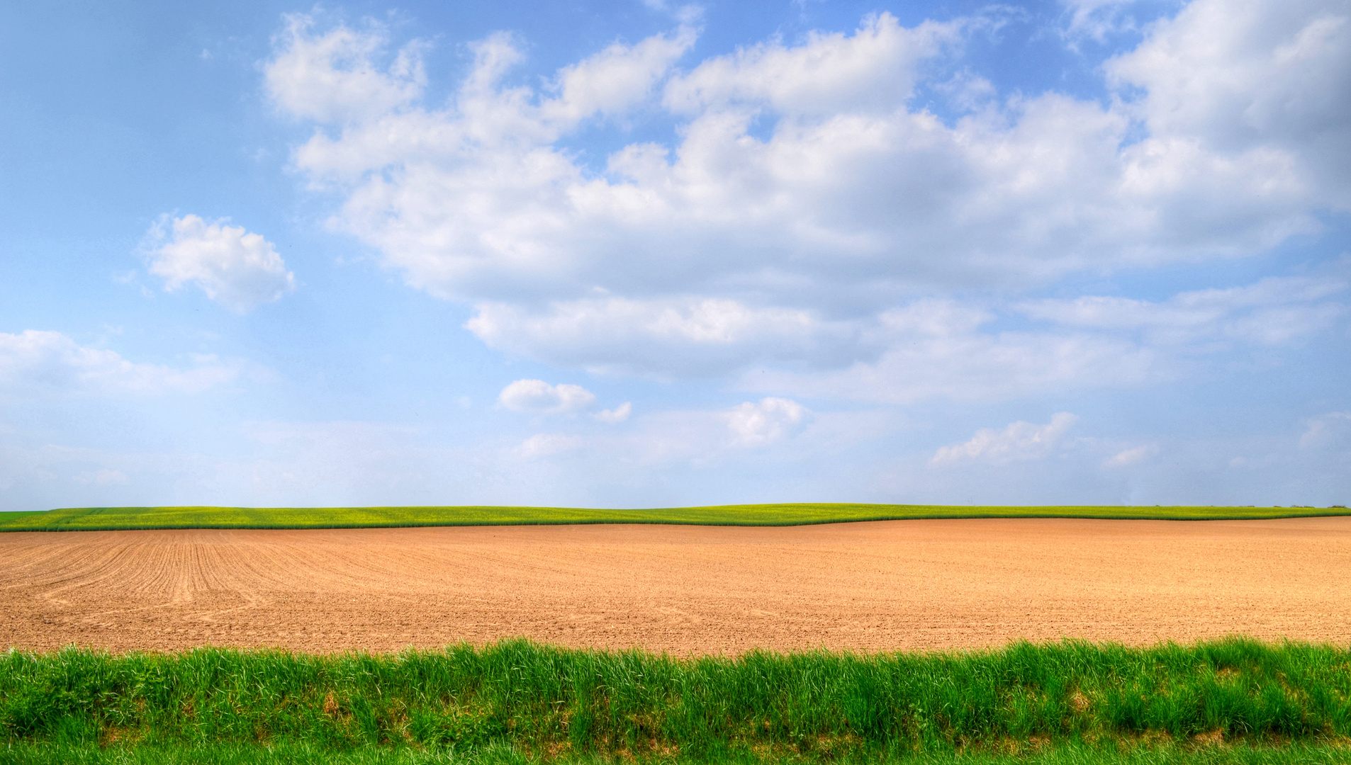 ~ Blick über das Feld ~