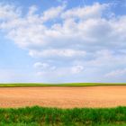 ~ Blick über das Feld ~