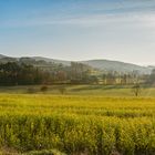 Blick über das Feld