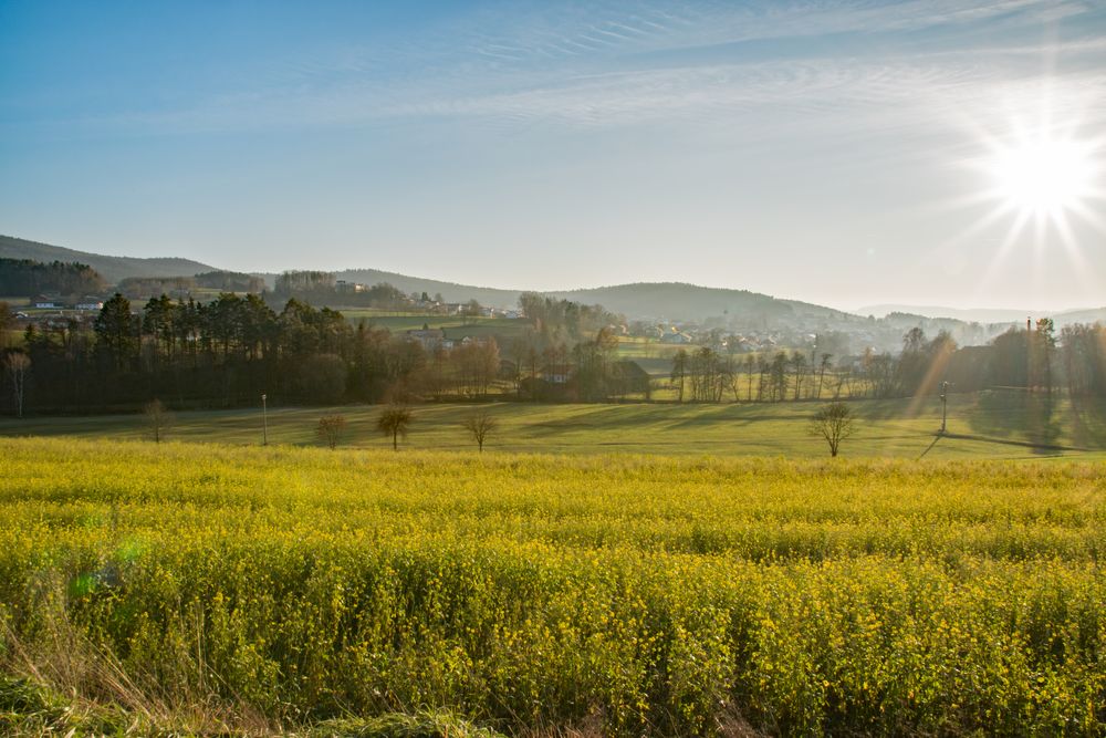 Blick über das Feld