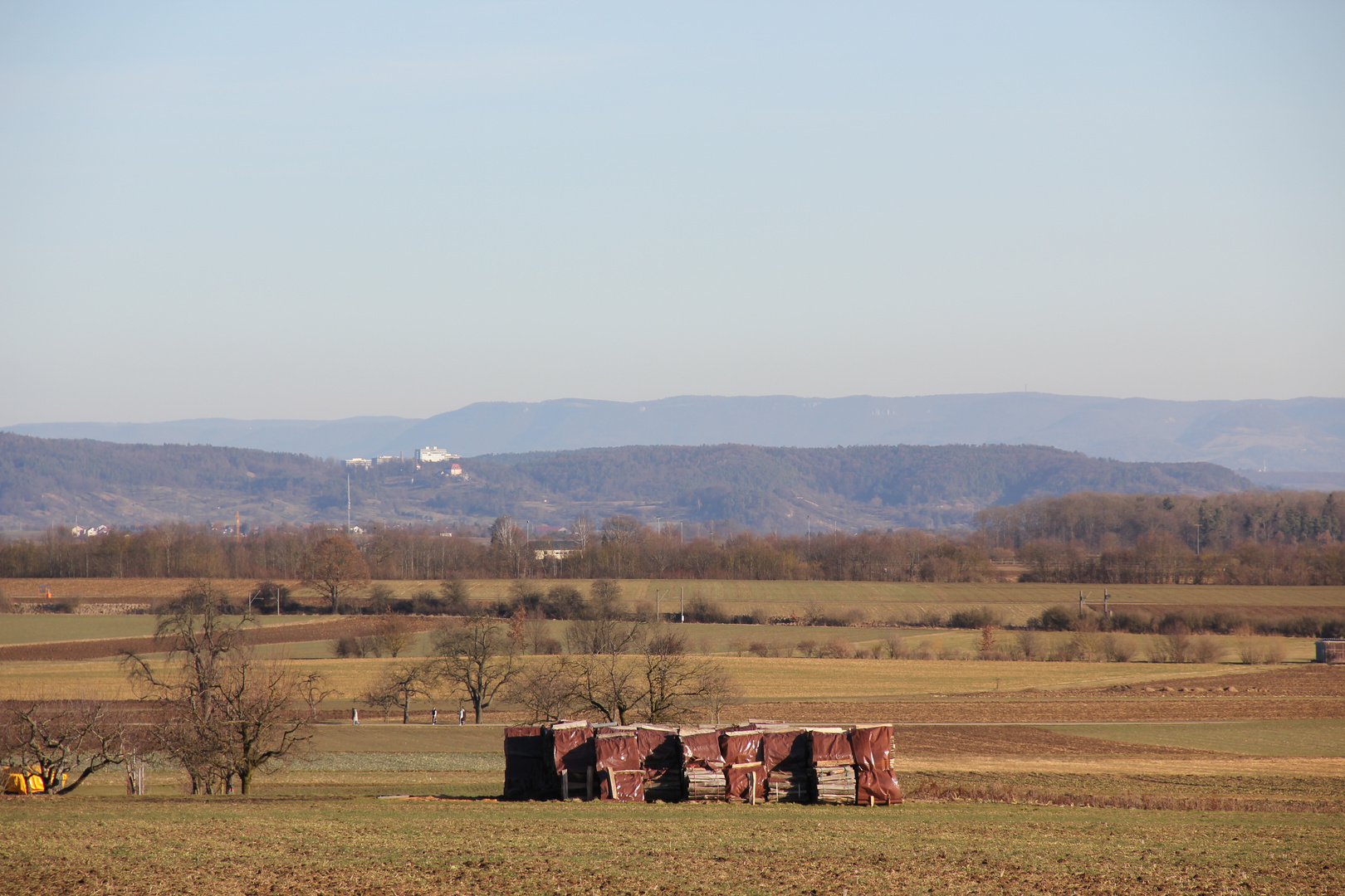 Blick über das Gäu zum Schloss Roseck