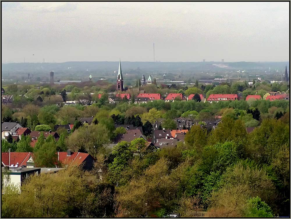 Blick über das Grün von Bochum mit Petrikirche