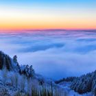 Blick über das im Nebel liegende Moseltal