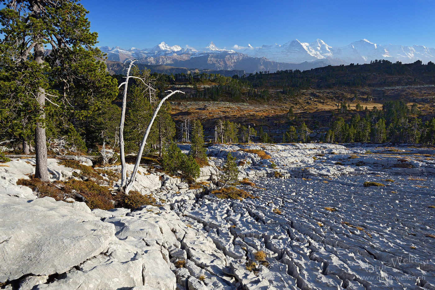 Blick über das Karstfeld