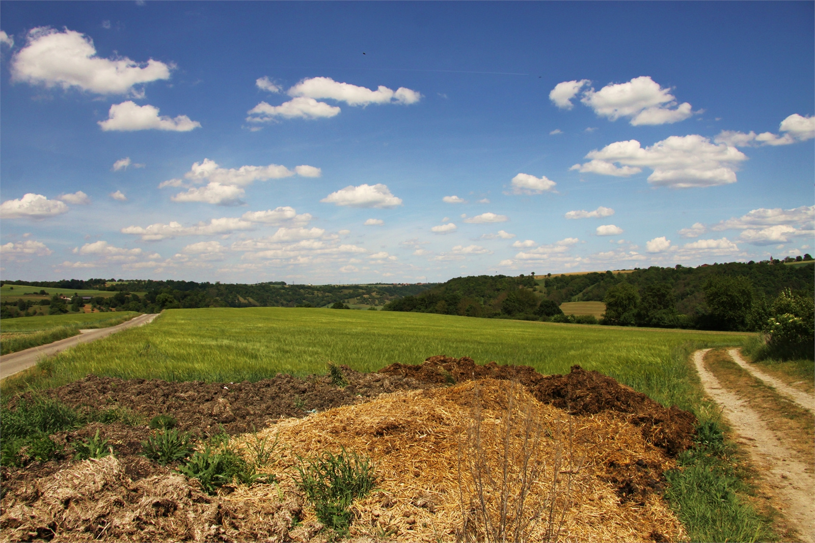 Blick über das Kochertal ins Hohenloher Land