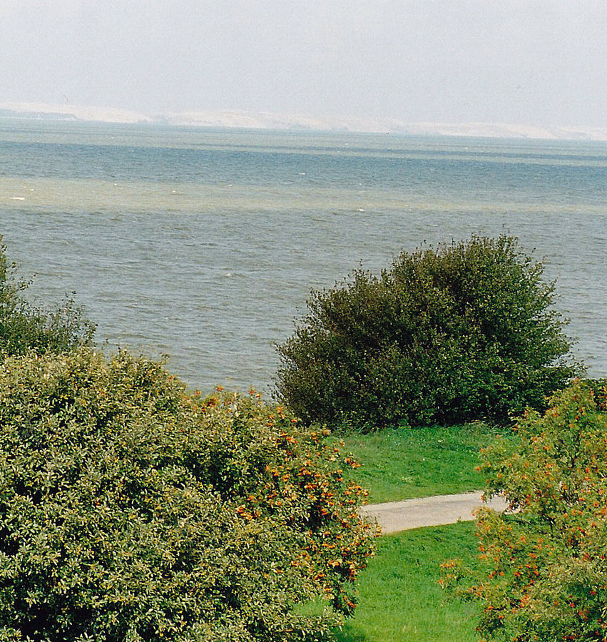 Blick über das Kurische Haff auf die Kurische Nehrung mit ihren Sanddünen