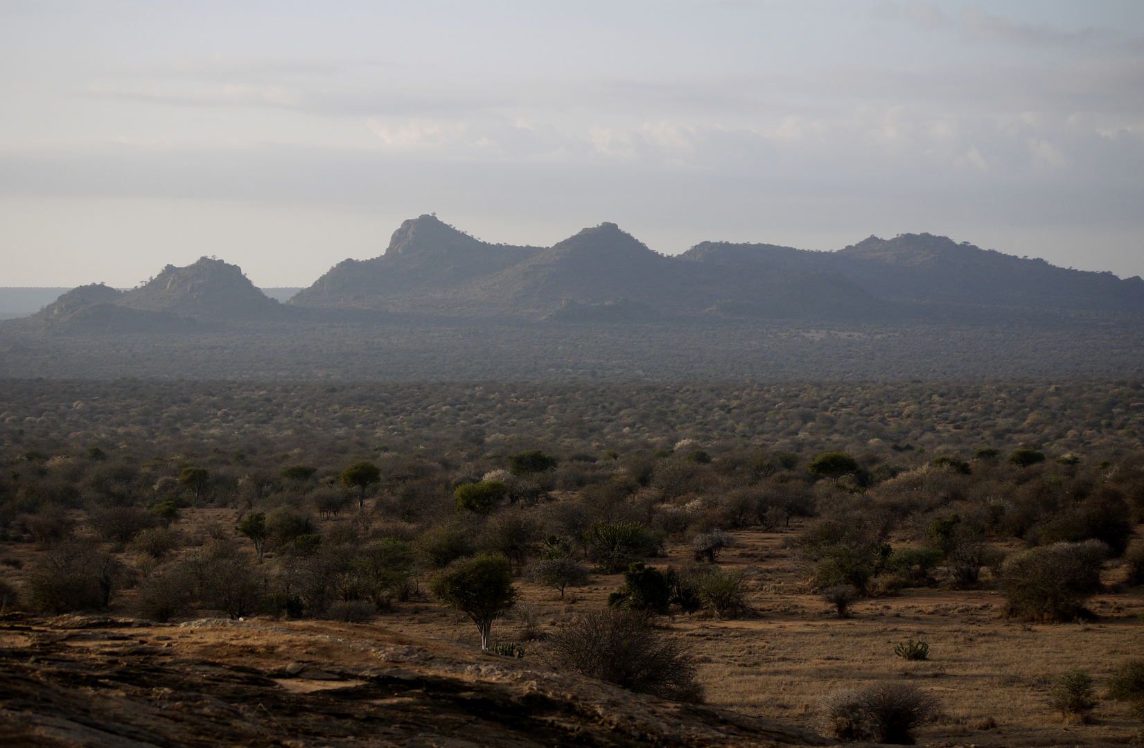 Blick über das Laikipia Hochland