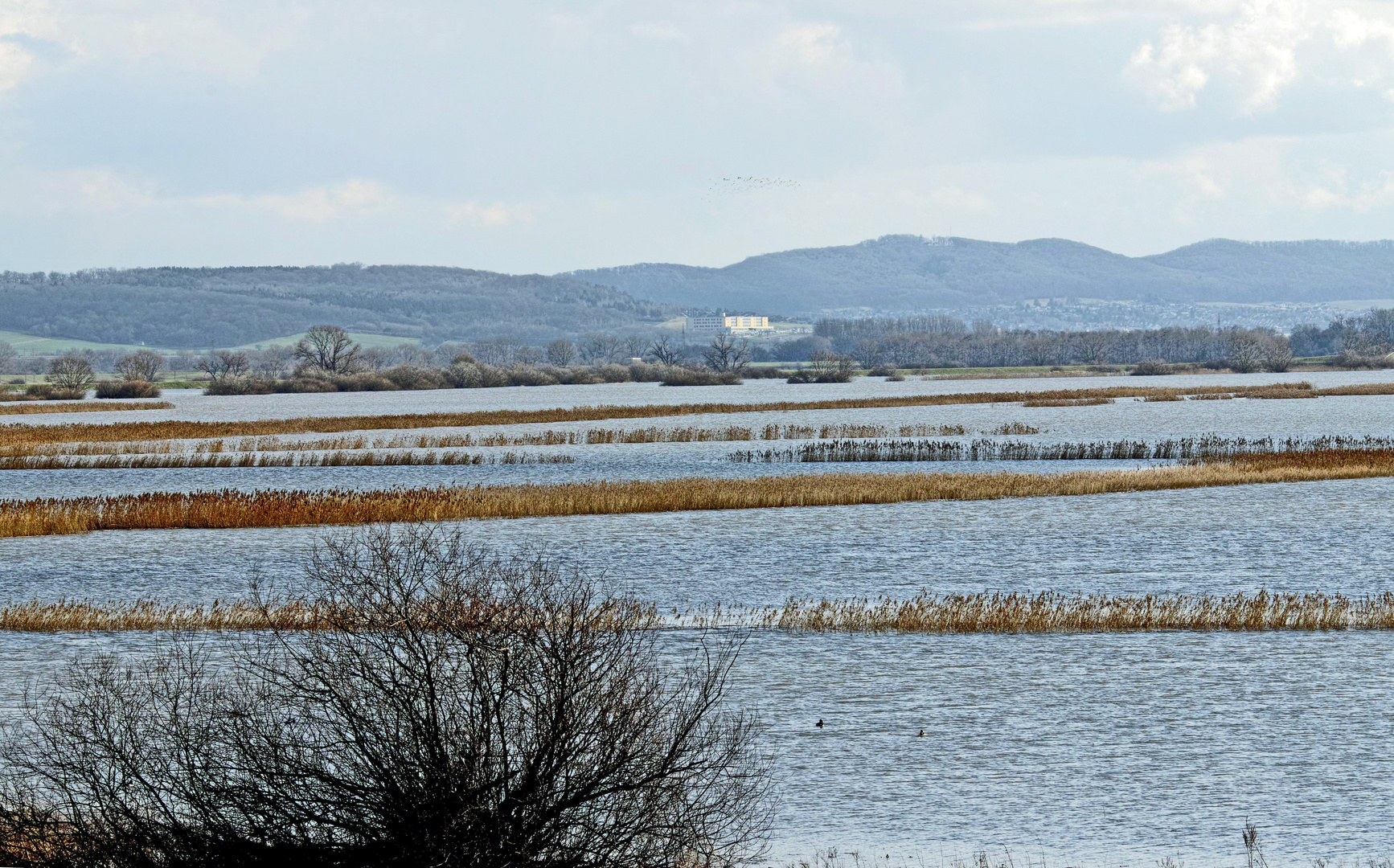 Blick über das Leinepolder,es ist Hochwasser .