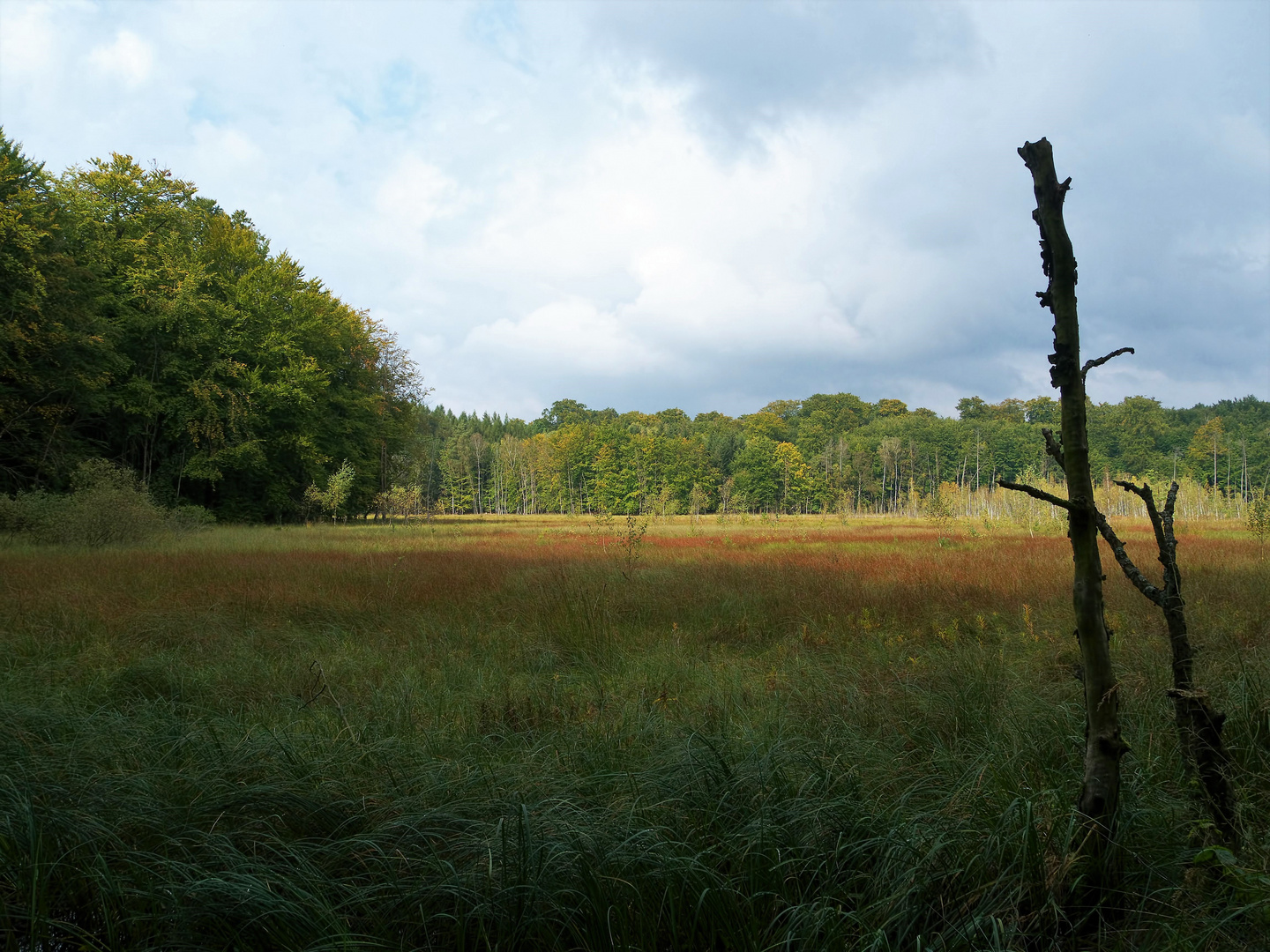 Blick über das Moor