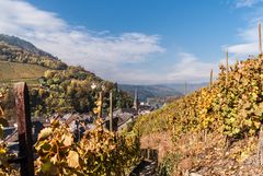 Blick über das Moseltal