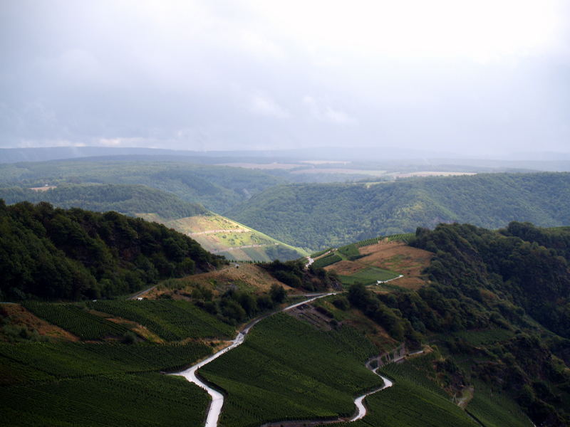 Blick über das Moseltal