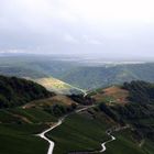 Blick über das Moseltal