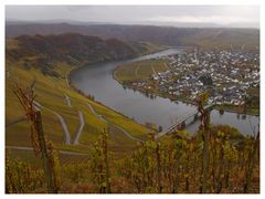 Blick über das Moseltal bei Minheim