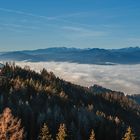 Blick über das Mürztal