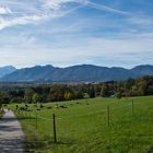 Blick über das Murnauer Moos auf die Zugspitze