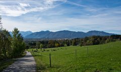 Blick über das Murnauer Moos auf die Zugspitze