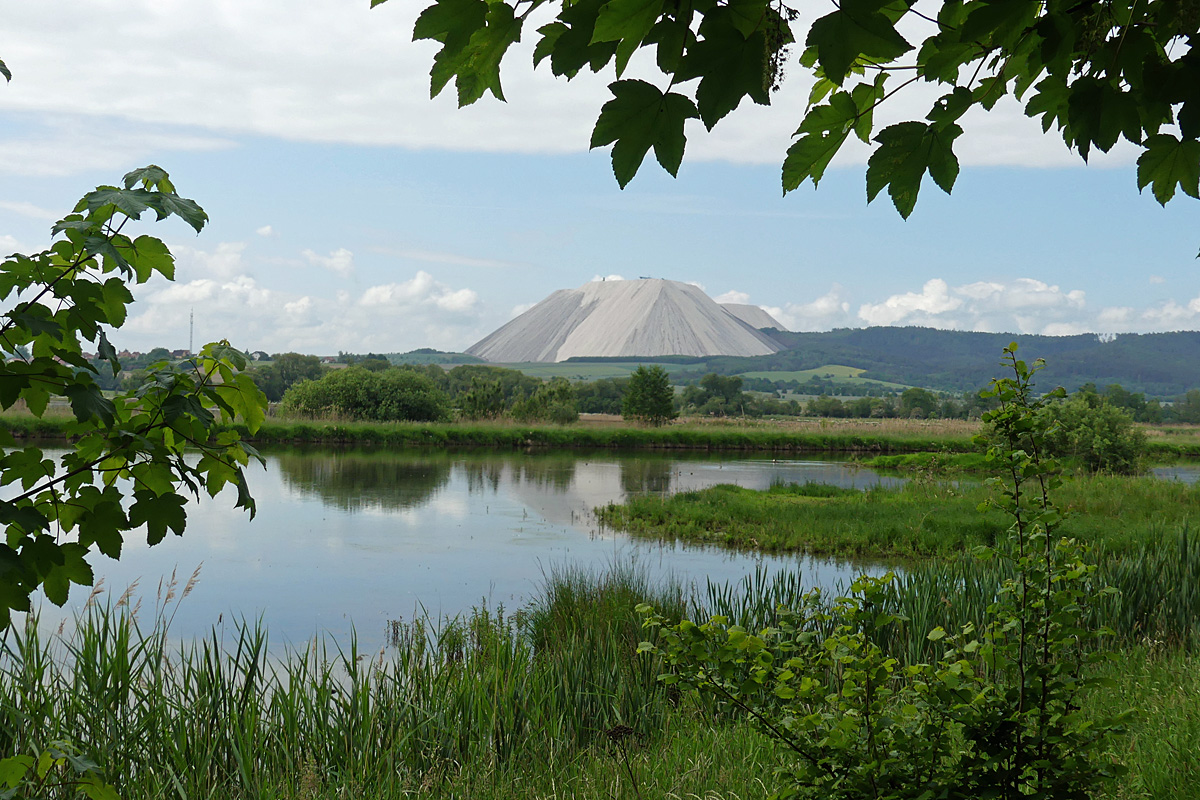 Blick über das Naturschutzgebiet Rhäden