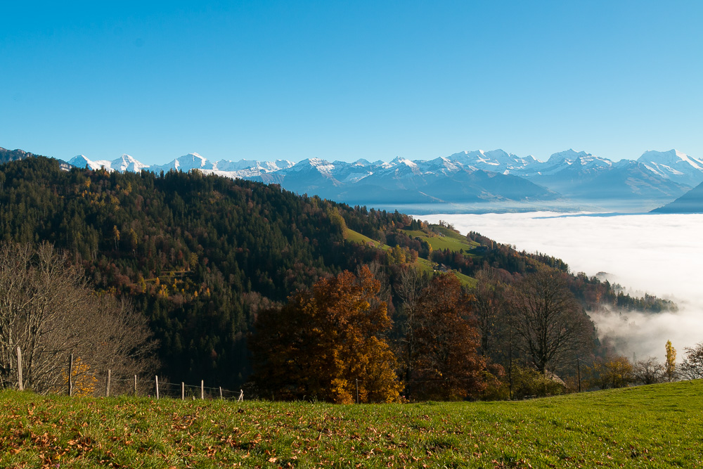 Blick über das Nebelmeer