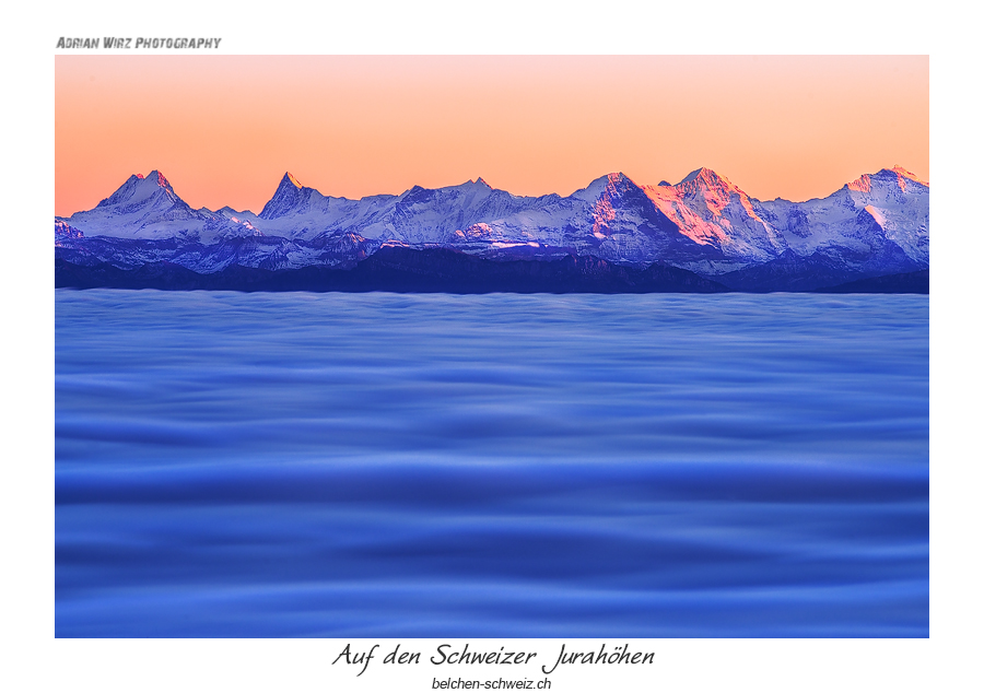 Blick über das Nebelmeer zu Aletschhorn, Eiger, Mönch und Jungfrau