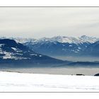 Blick über das Rheintal nach Österreich