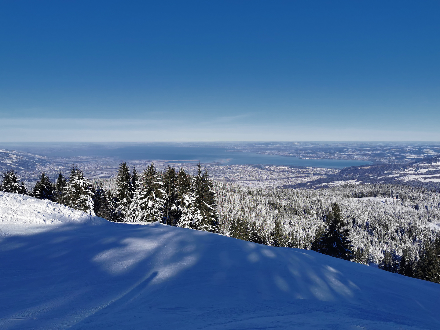 Blick über das Rheintal und den Bodensee