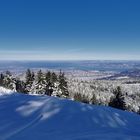 Blick über das Rheintal und den Bodensee