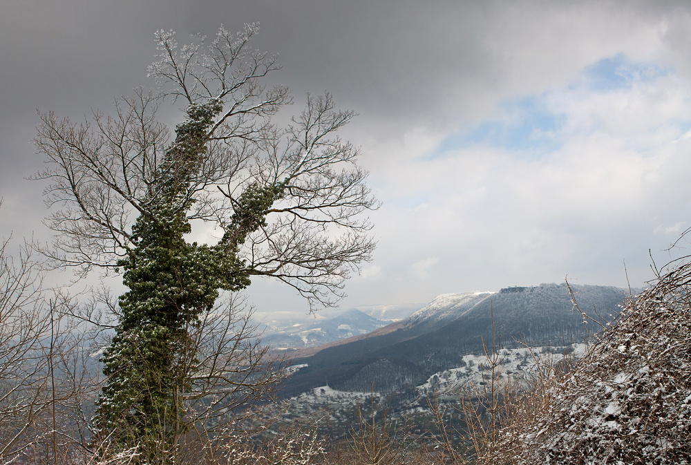 Blick über das Tal