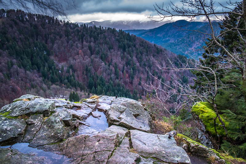 Blick über das Tal der Wildgutach im Mittleren Schwarzwald