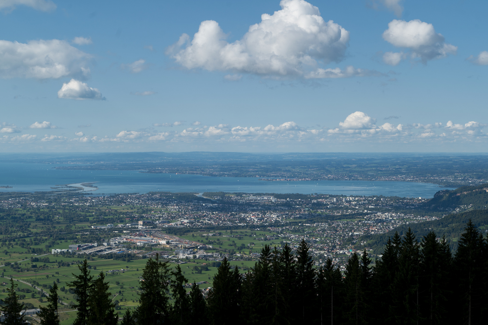 Blick über das Vorarlberger Rheintal zum Bodensee