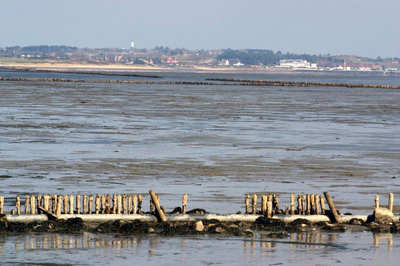 Blick über das Wattenmeer