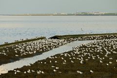 Blick über das Wattenmeer von Neuharlingersiel nach Harlesiel