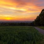 Blick über das Werre-Tal