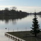 Blick über den Aasee in Münster